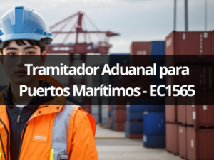 Atribuciones del Poder Ejecutivo Federal y de las Autoridades Aduaneras (6)